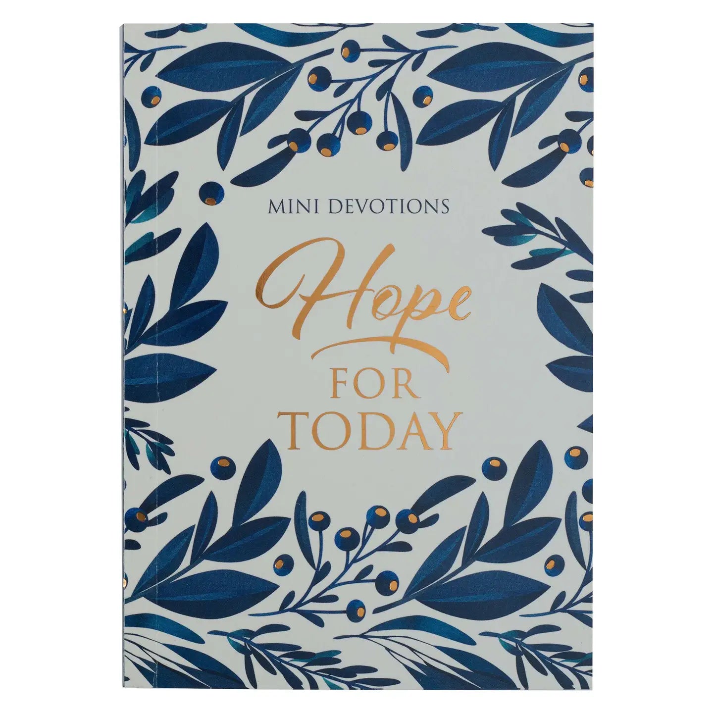 Christian Art Gift Mini Devotions Hope For Today Softcover