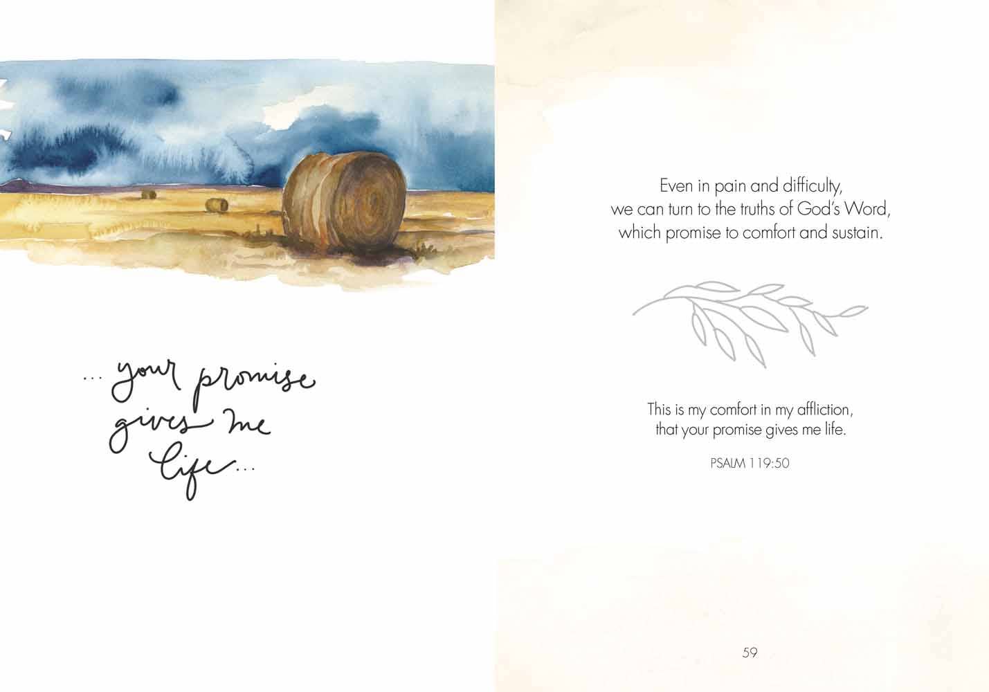 Fields of Joy: Hardcover / English