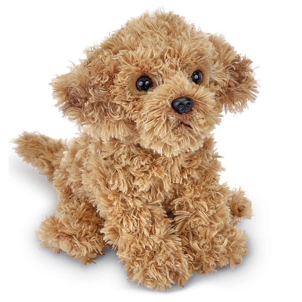 Bearington Doodles  the Labradoodle