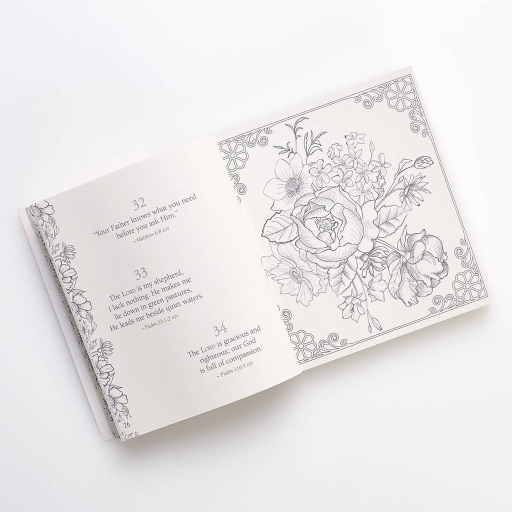 Christian Art Gifts | 365 Promises God's Word in Color | Coloring Devotional
