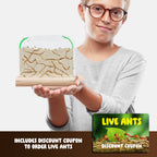 Dan & Darci | Ant Farm Kit for Kids