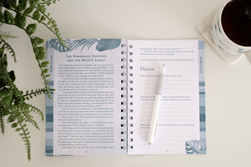 Barbour | The Gospels | All-In-One Study on the Life of Jesus
