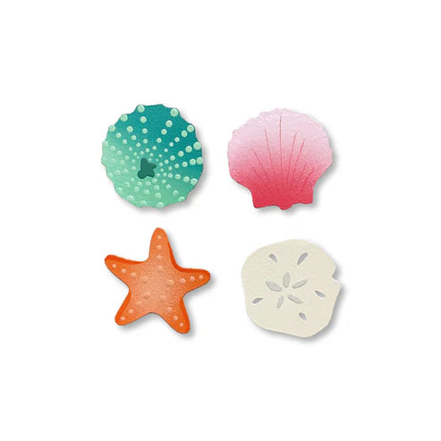 Roeda Seashell Magnets