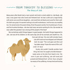 Barbour | A Year in Bible Stories