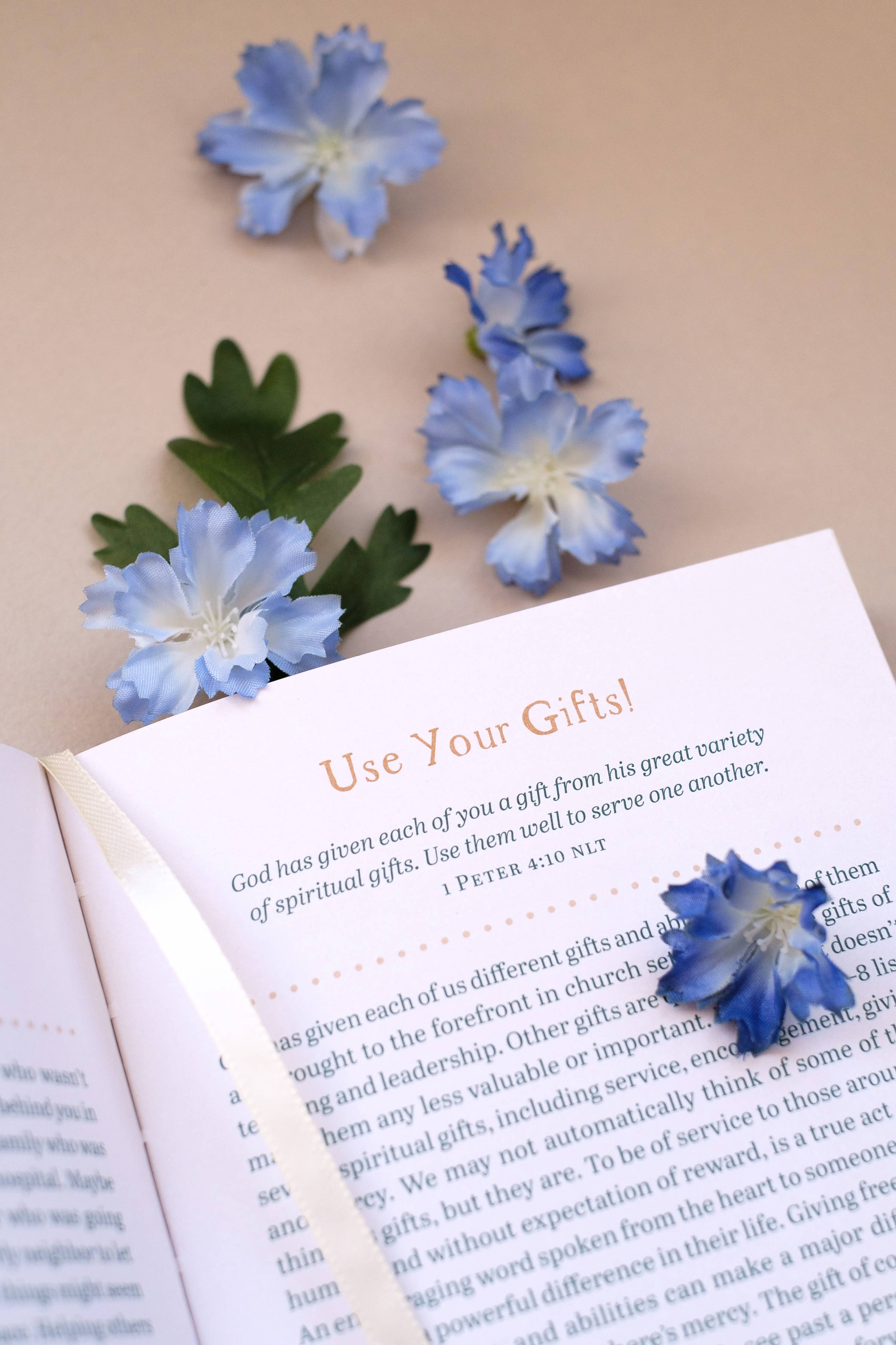 Barbour | Sacred Space | Devotions for Women