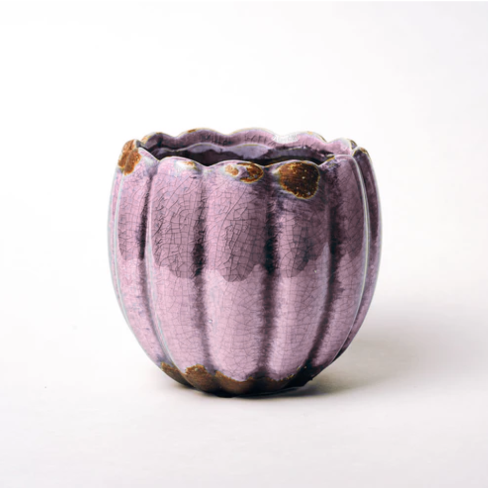 Swan Creek Candle Co. | Black Plum & Velvet Musk | Small Petal Pot 8.5oz