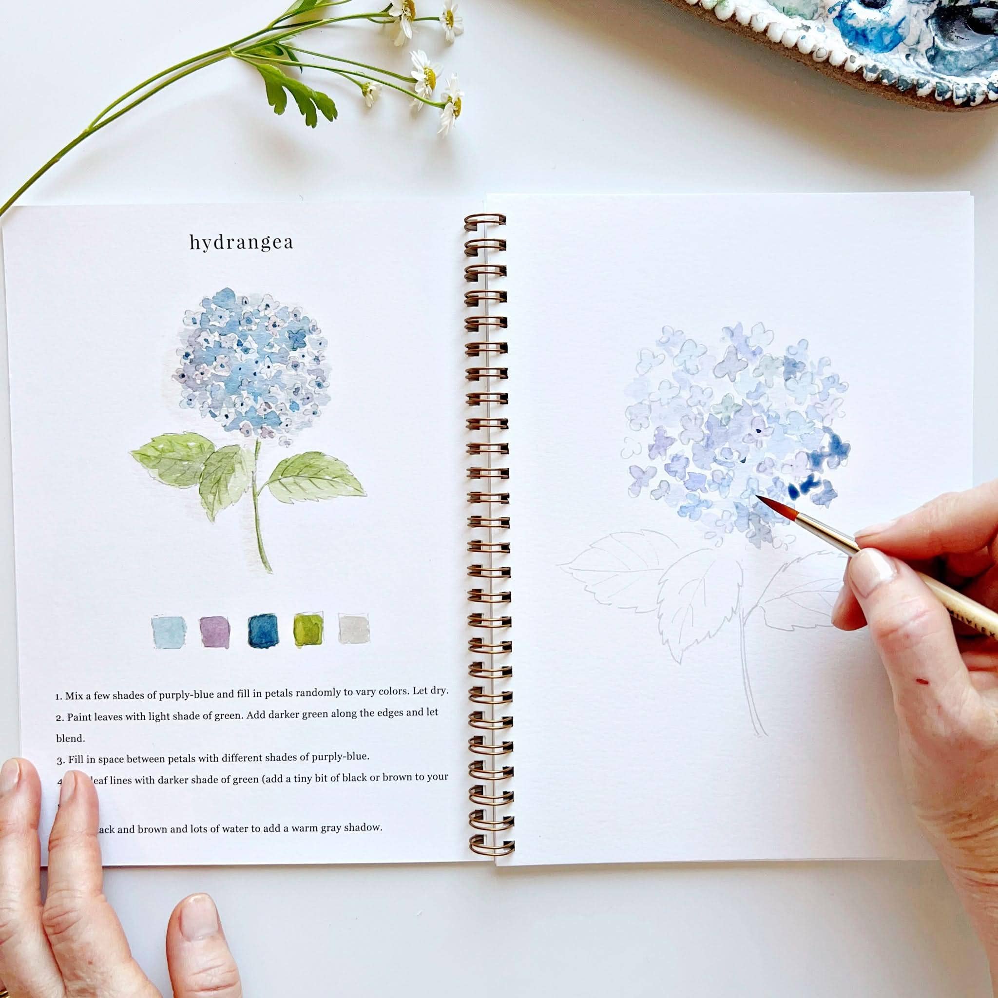 Emily Lex | Watercolor Workbook | Flowers