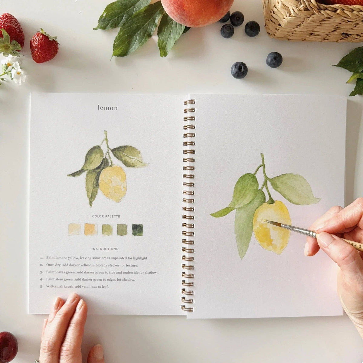 Emily Lex | Watercolor Workbook | Fruit