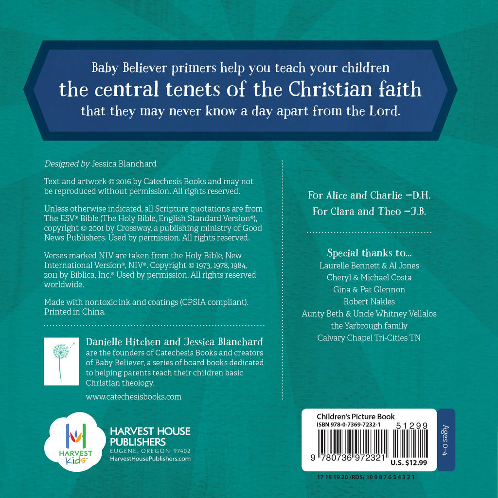 First Bible Basics: Board Book / English