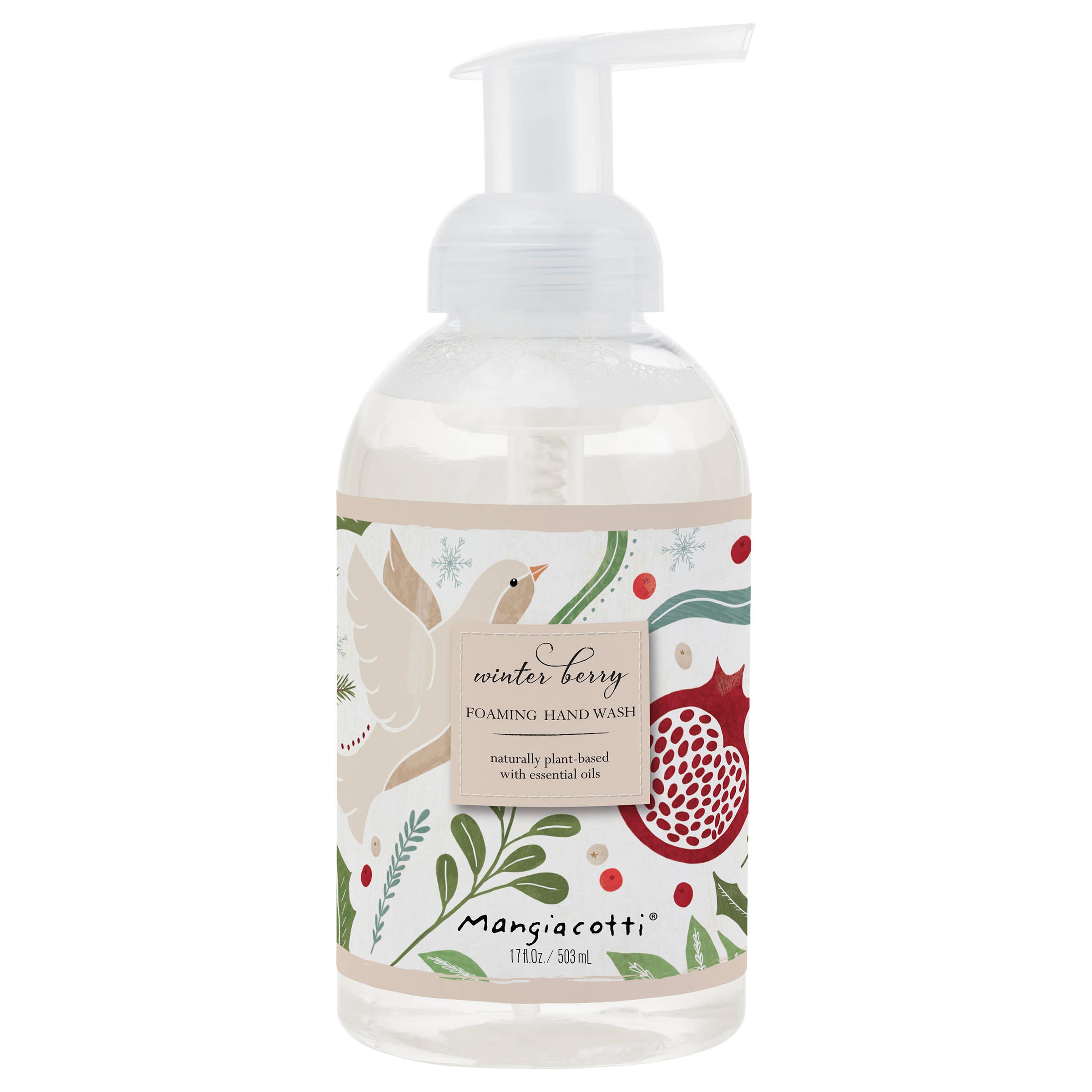 Boston International Winter Berry Foaming Hand Wash 17 oz.