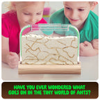 Dan & Darci | Ant Farm Kit for Kids