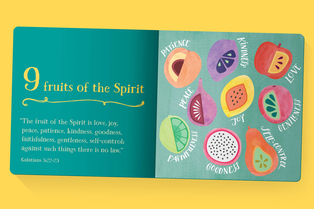 First Bible Basics: Board Book / English