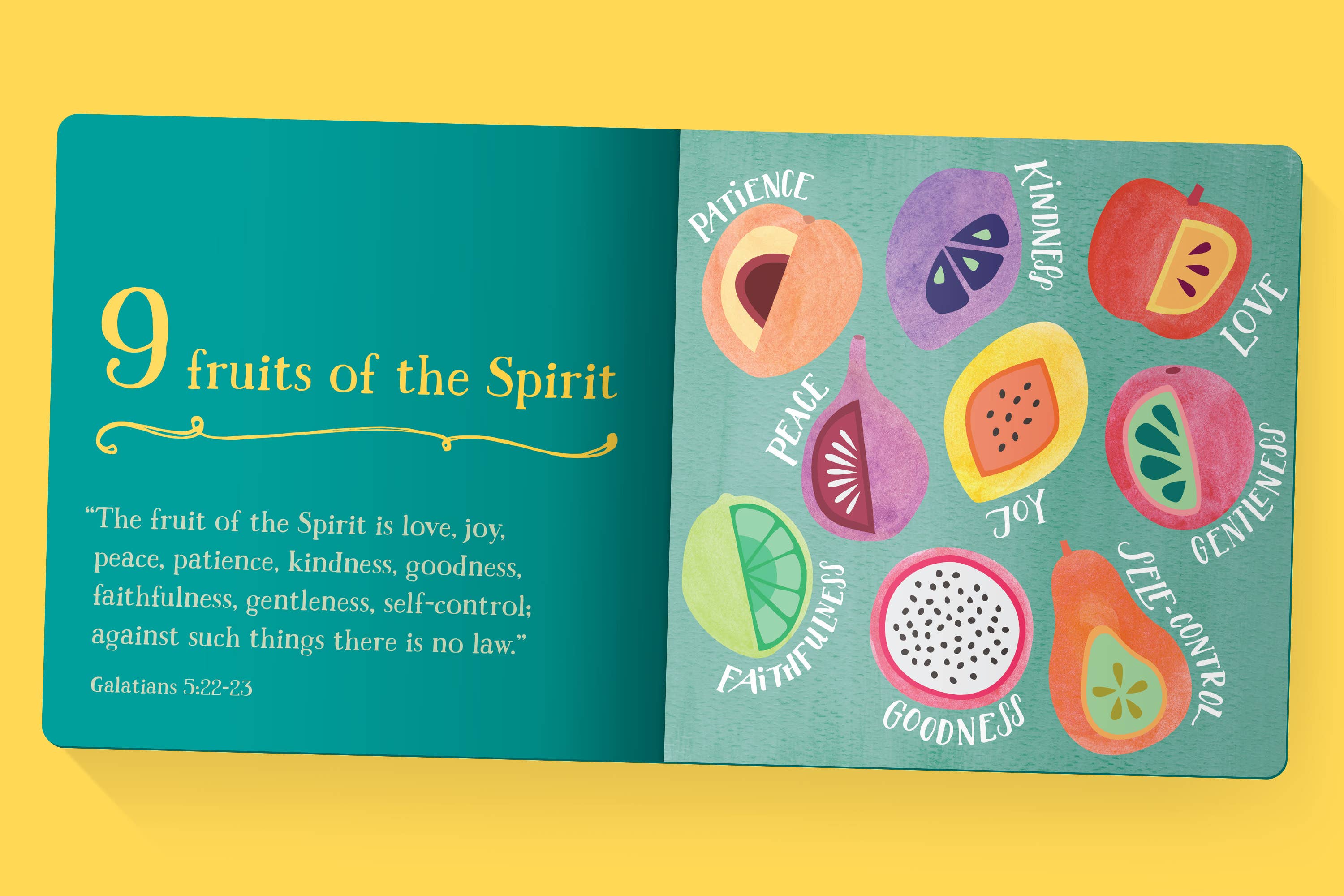 First Bible Basics: Board Book / English