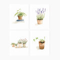 Emily Lex | Assorted Notecard Set | Potted Plants