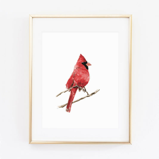 Emily Lex | Print | Cardinal