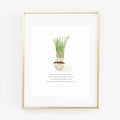 Emily Lex | Print | Paperwhites John 3:16 Scripture