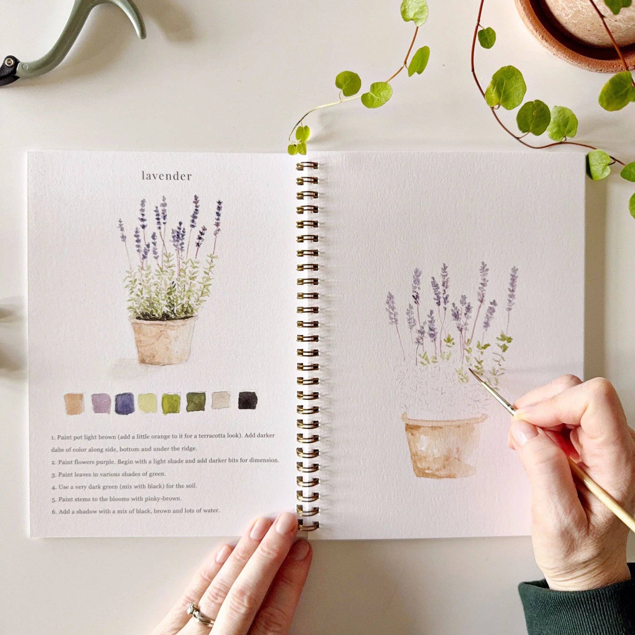 Emily Lex | Watercolor Workbook | Garden