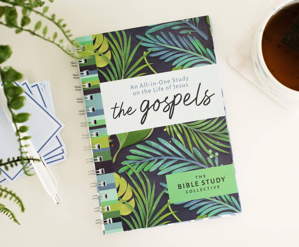 Barbour | The Gospels | All-In-One Study on the Life of Jesus