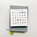 Emily Lex | Truth For Today Cards | Hope