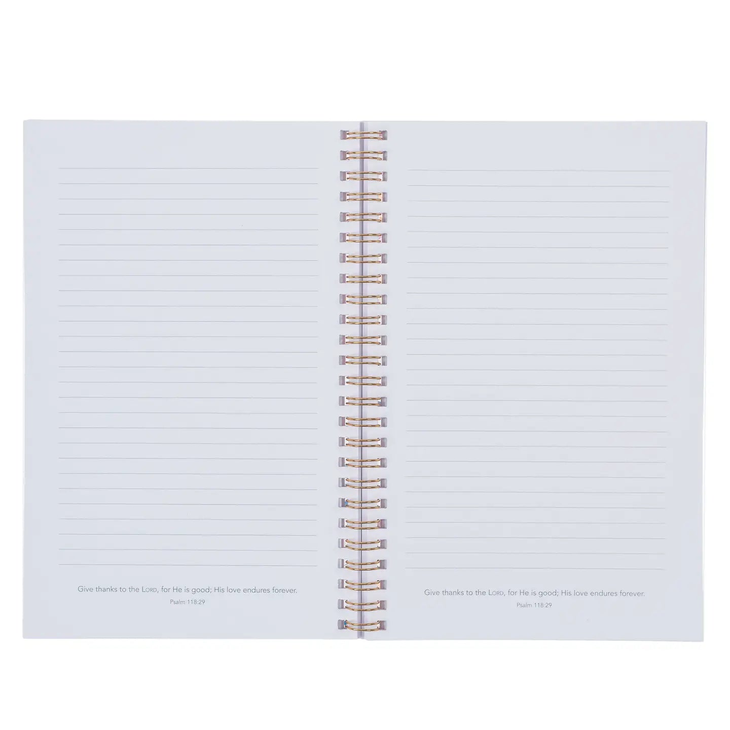 Christian Art Gifts | Notebook Wirebound | Goodness & Love Ps. 23:6