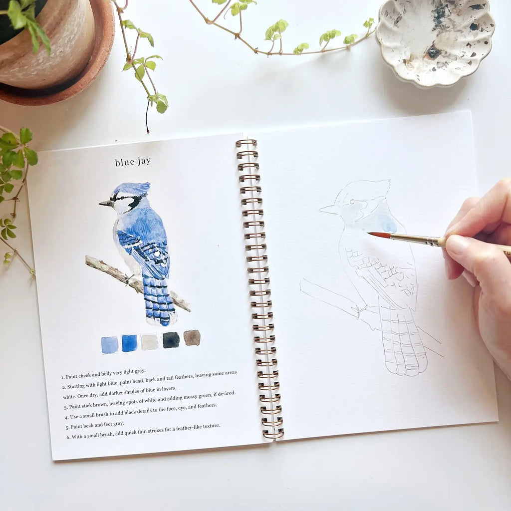 Emily Lex | Watercolor Workbook | Birds