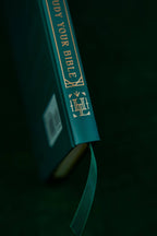 How to Study Your Bible: Hardcover / English