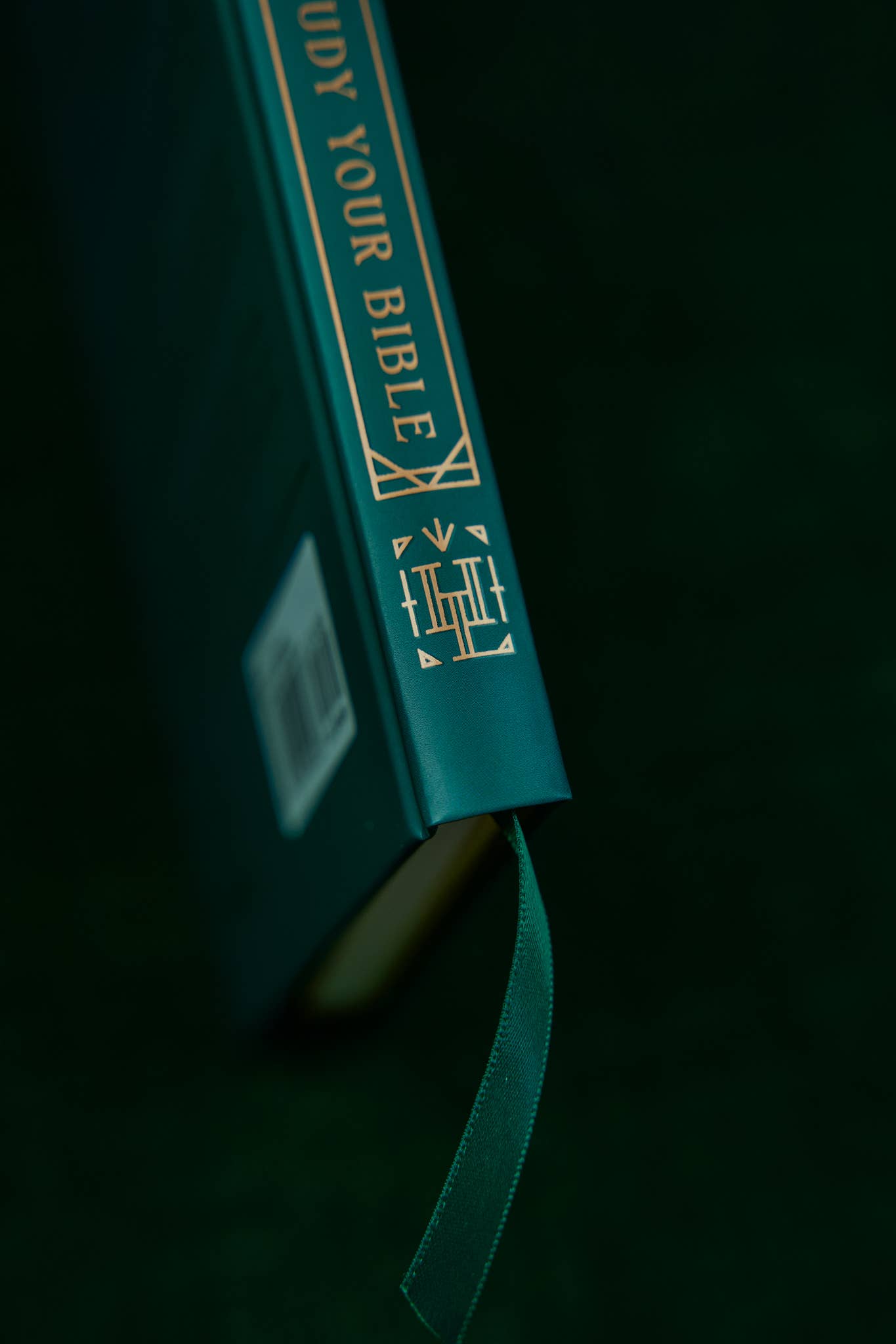 How to Study Your Bible: Hardcover / English