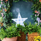 Songbird Grove Gingham Star Garden Stake - Light Blue