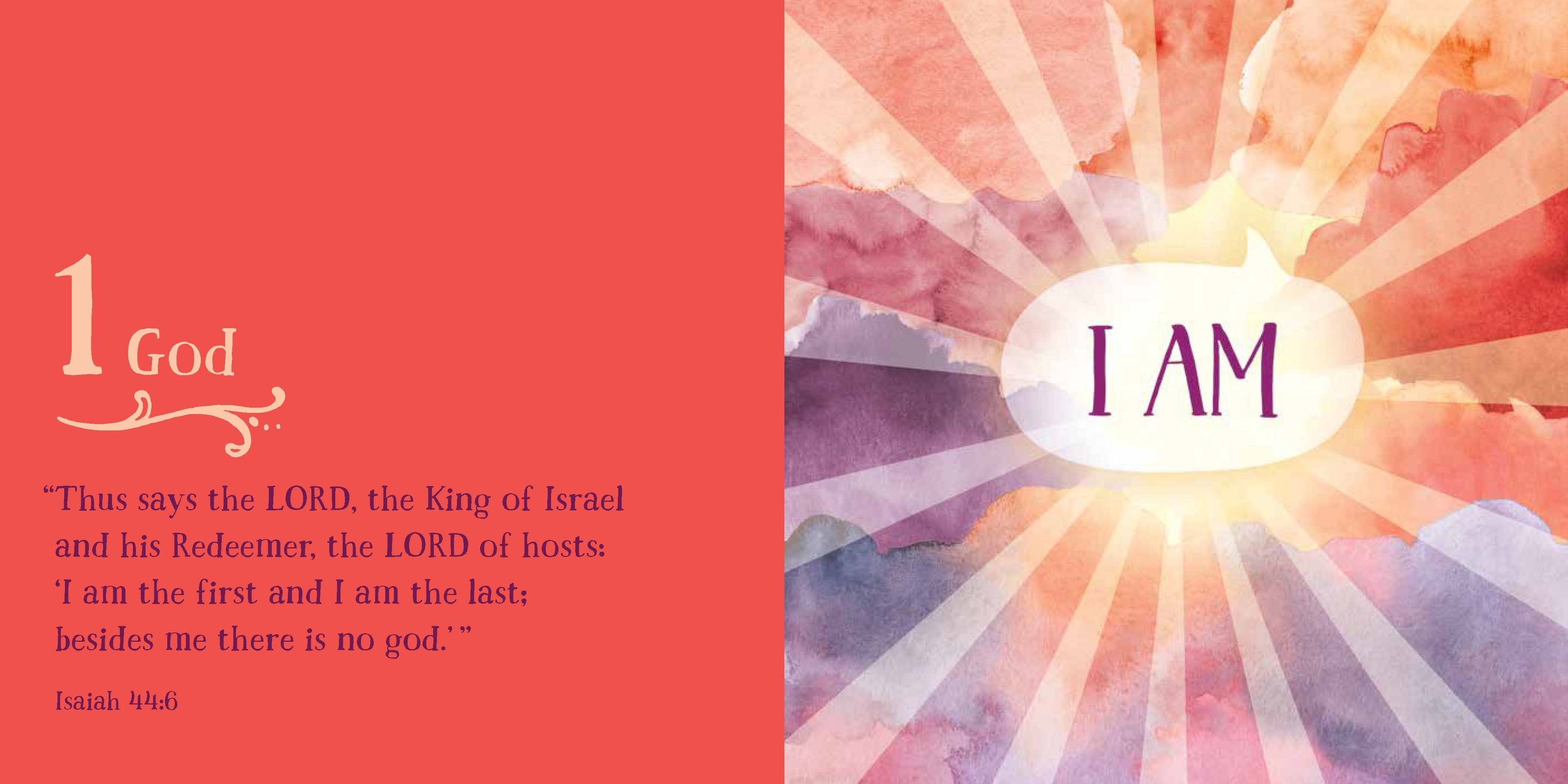 First Bible Basics: Board Book / English