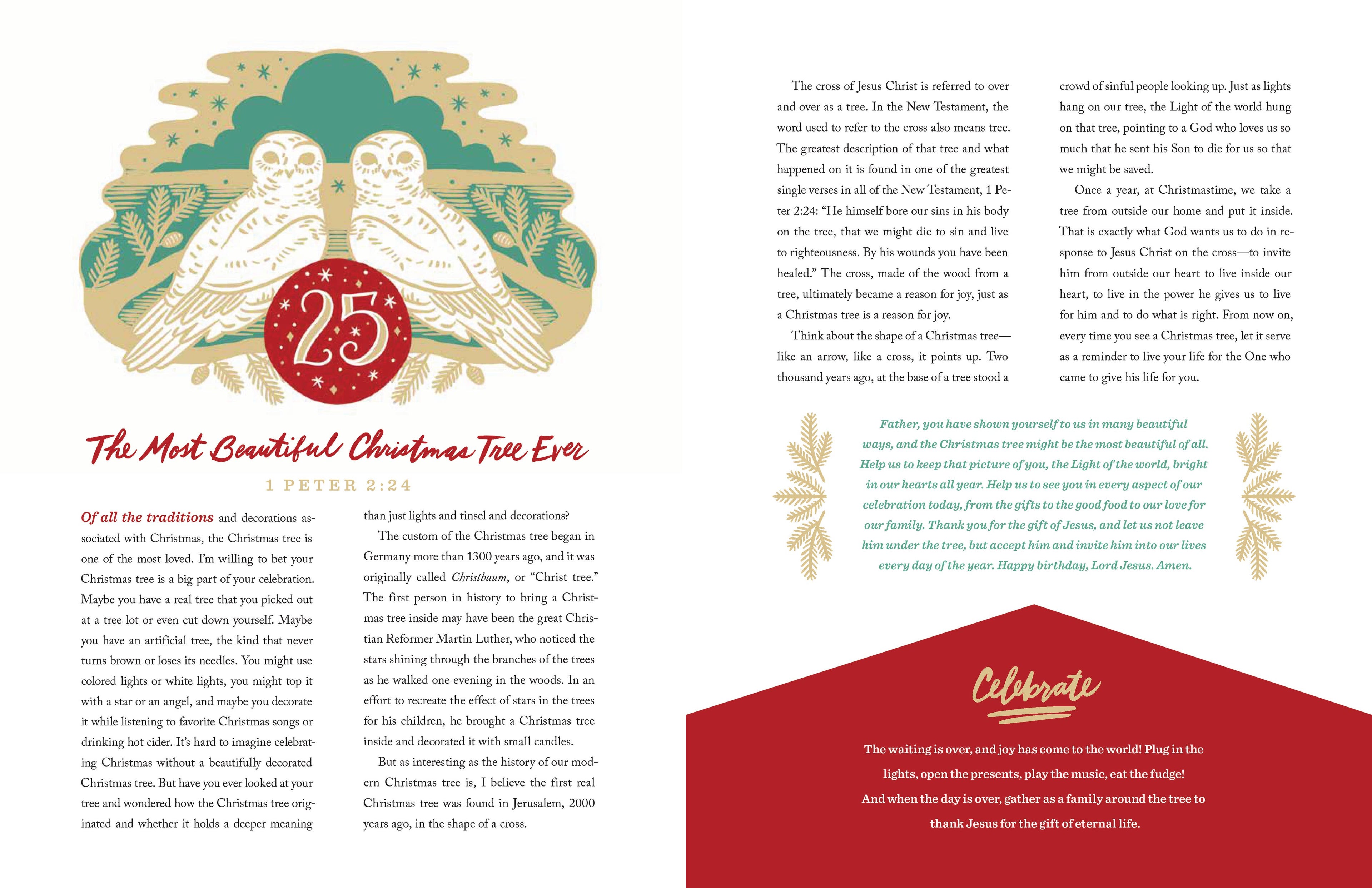 The 25 Days of Christmas: Hardcover / English