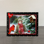 Roeda Studios | Magnet Set | Winter Birdhouse
