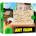 Dan & Darci | Ant Farm Kit for Kids