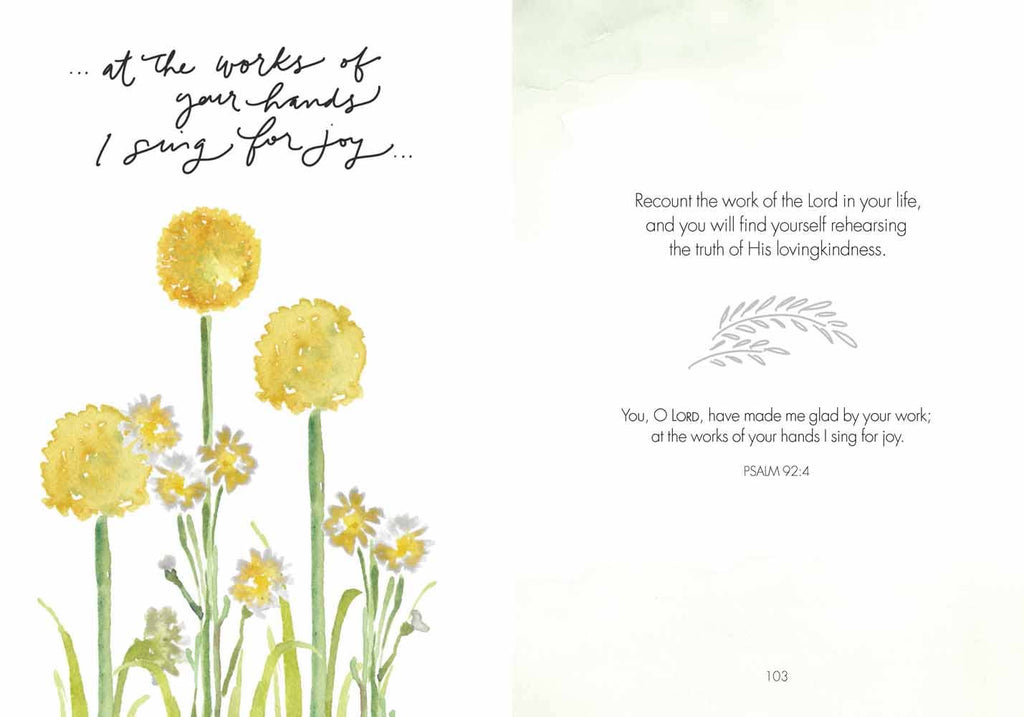 Fields of Joy: Hardcover / English