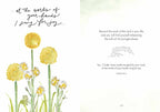 Fields of Joy: Hardcover / English