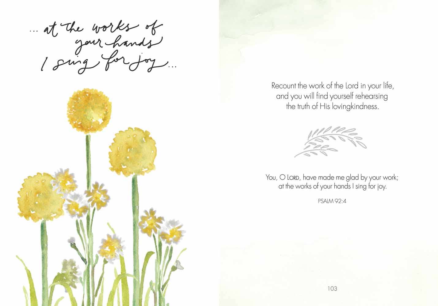Fields of Joy: Hardcover / English