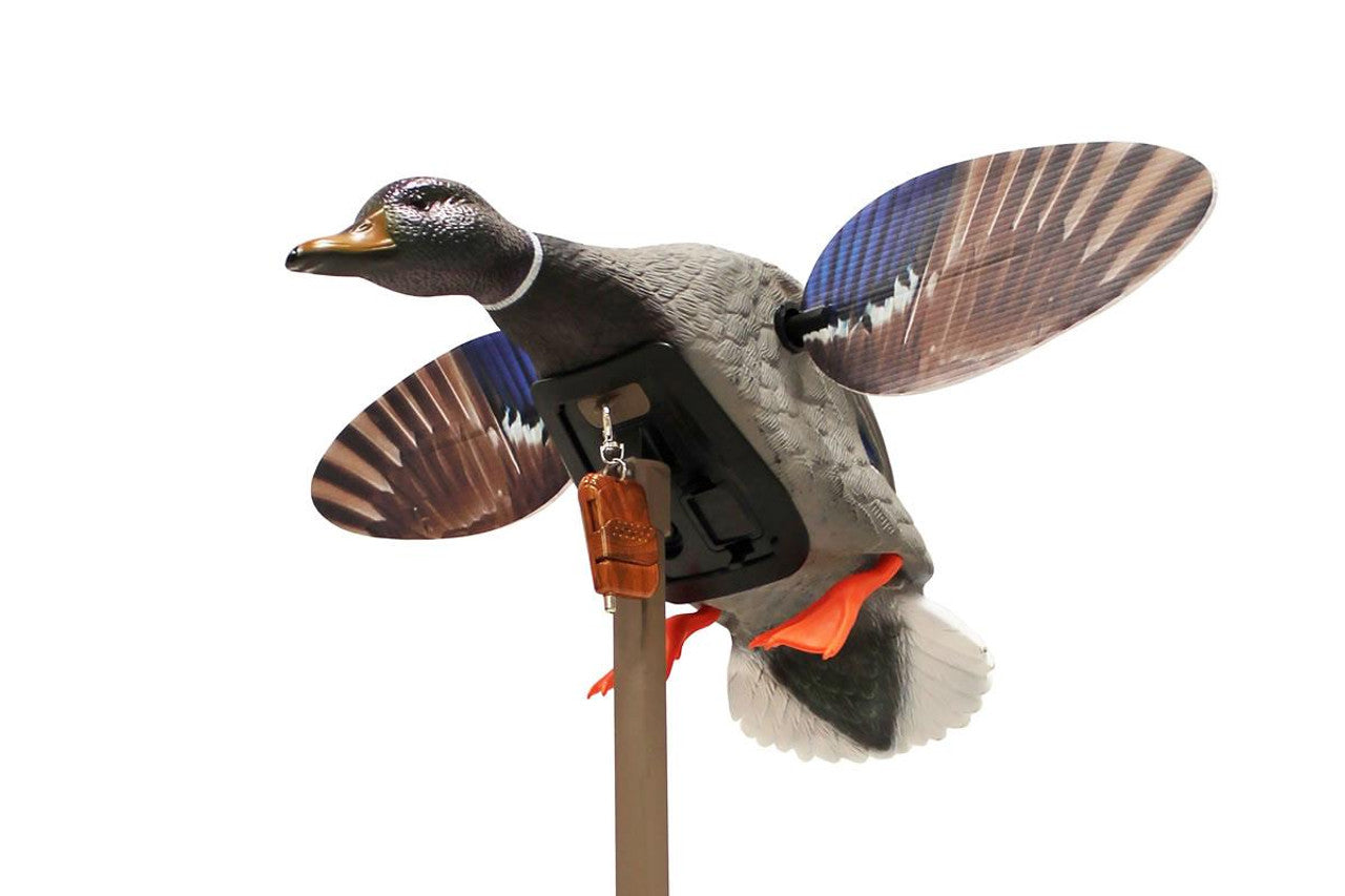 MOJO Elite Series Mini Mallard Motorized Duck Decoy