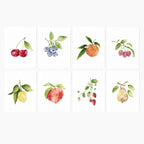 Emily Lex | Notecard Set | Fruit