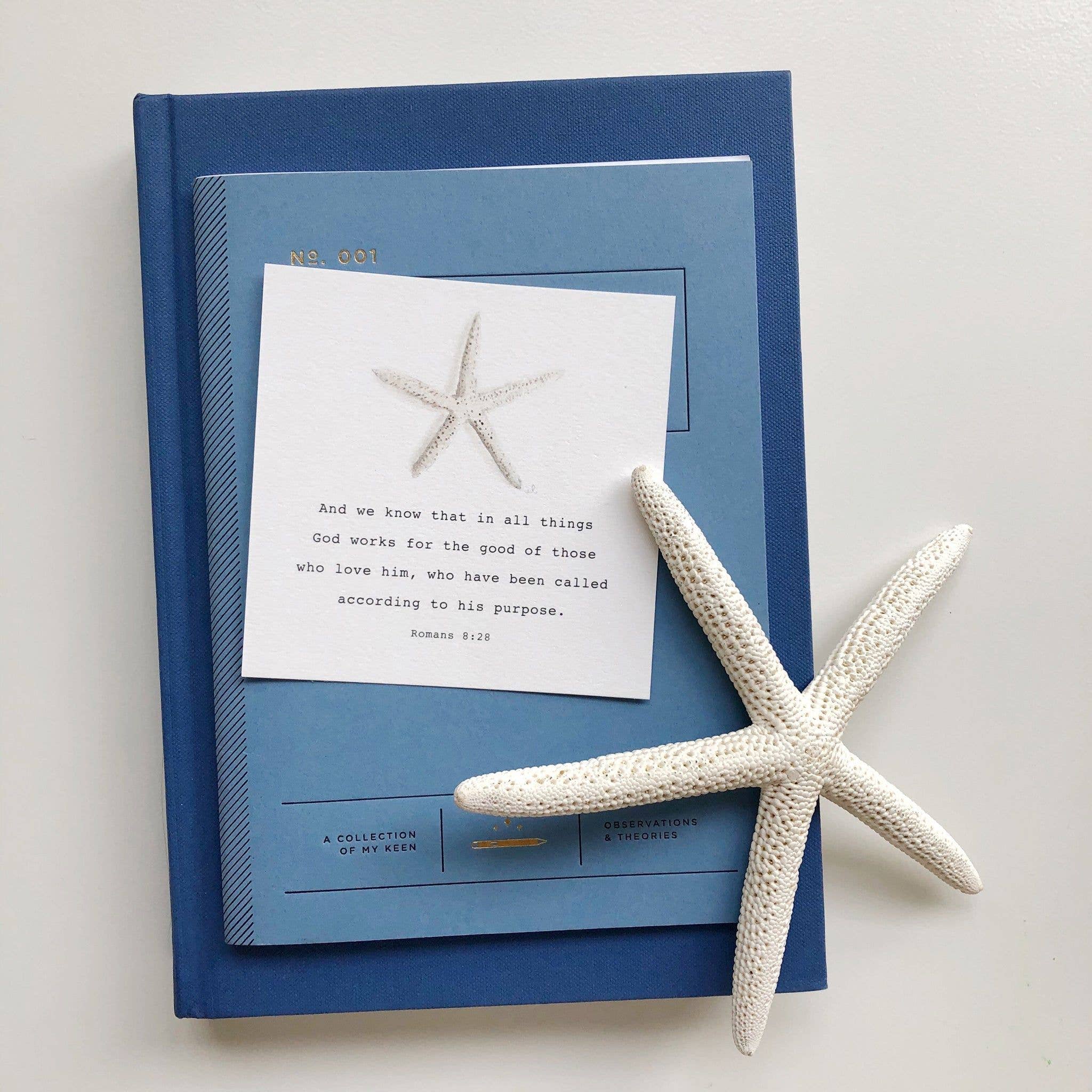 Emily Lex | Truth for Today Cards | Kids
