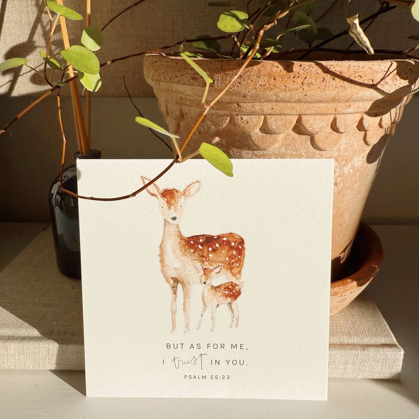 Emily Lex | Truth for Today Cards | Pslams