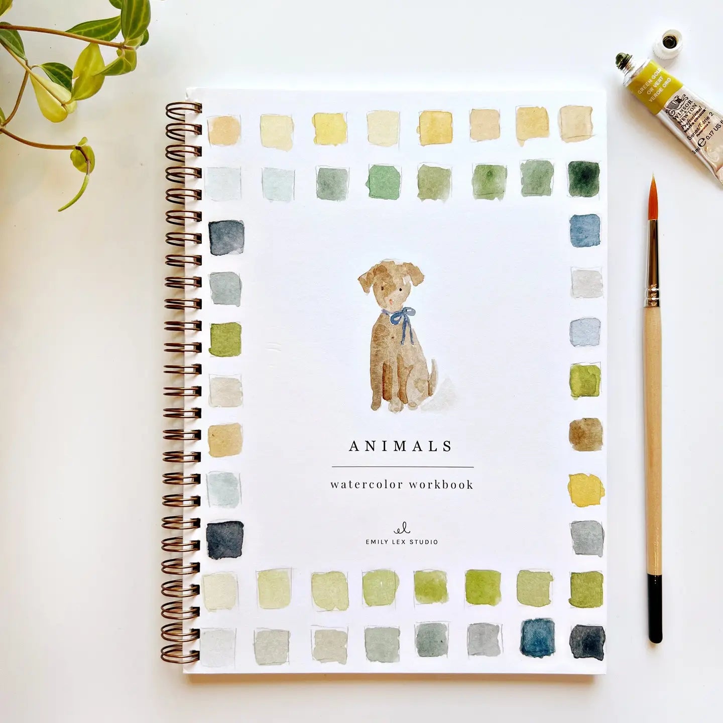 Emily Lex | Watercolor Workbook | Animals