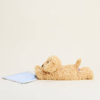 Warmies Golden Dog Blanket