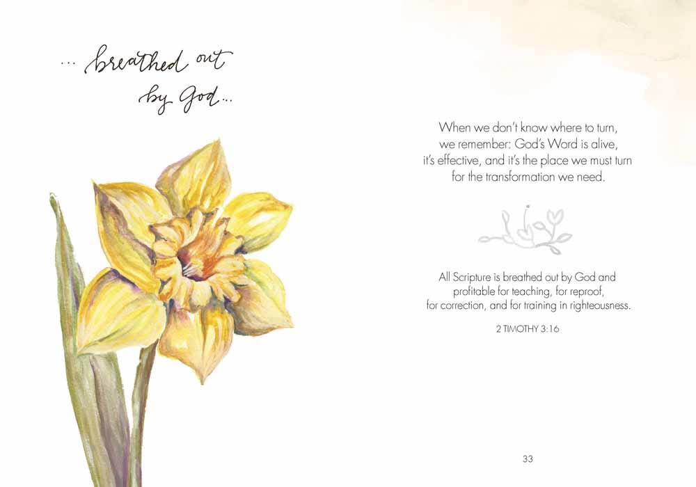 Garden of Truth: Hardcover / English