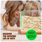 Dan & Darci | Ant Farm Kit for Kids