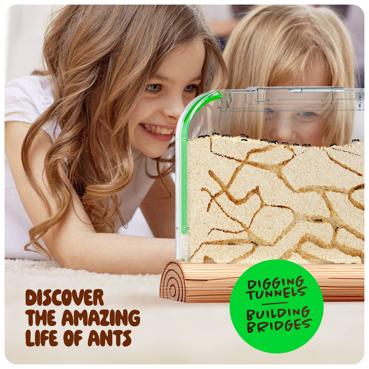 Dan & Darci | Ant Farm Kit for Kids