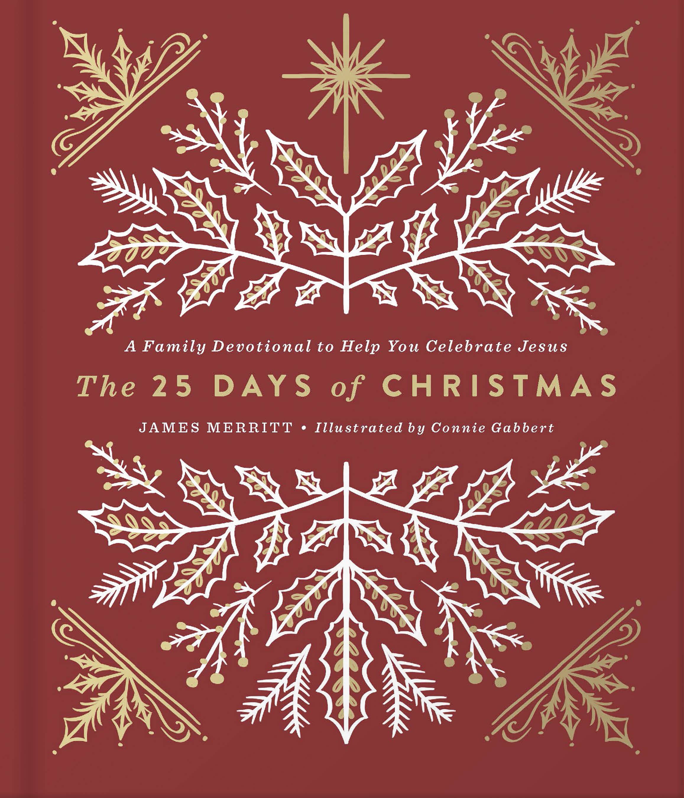 The 25 Days of Christmas: Hardcover / English