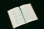 How to Study Your Bible: Hardcover / English