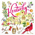 Boston International IHR Paper Cocktail Napkins KY State Collection 20 count