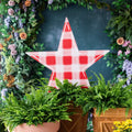 Songbird Grove Gingham Star Garden Stake - Red