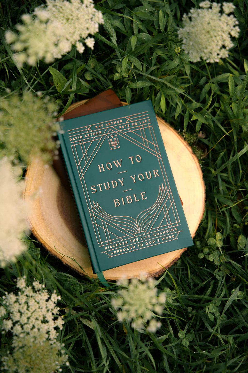 How to Study Your Bible: Hardcover / English