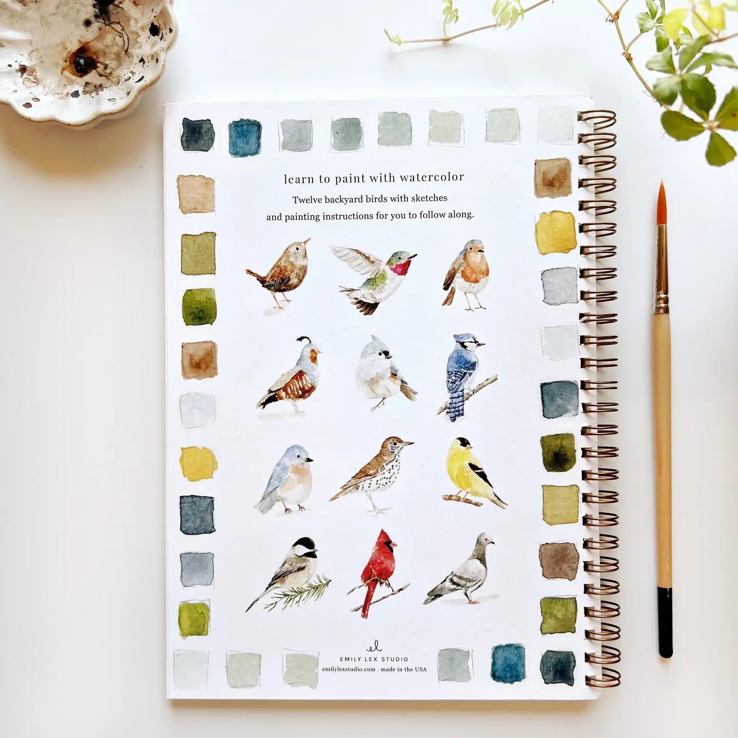 Emily Lex | Watercolor Workbook | Birds